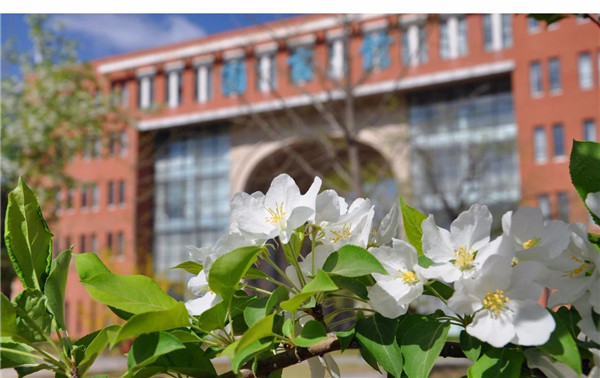 一中影像 | 遇見春天